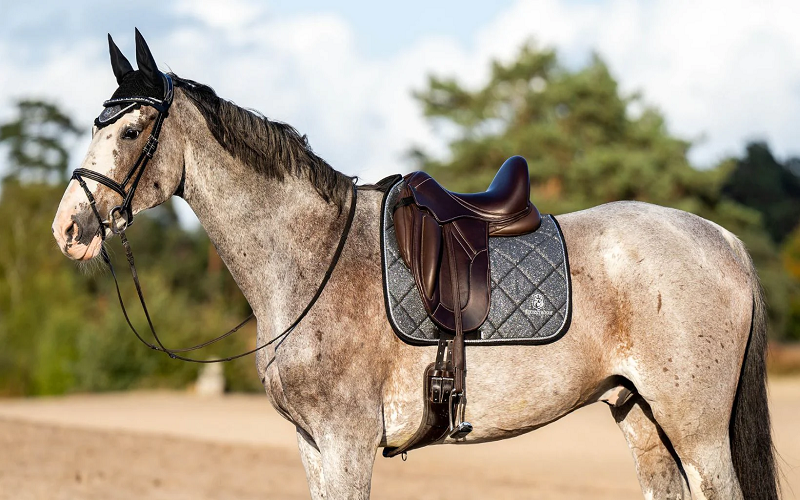 What Is a Saddle Pad